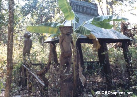 Postcard Graveyard