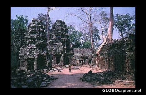 Postcard the ruins of ta prohm
