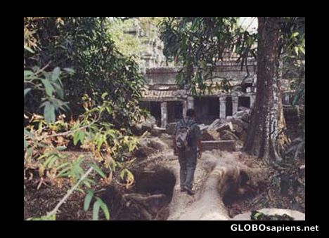 Postcard Exploring the temples.