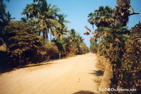 Postcard Northwestern Cambodia Joy Ride