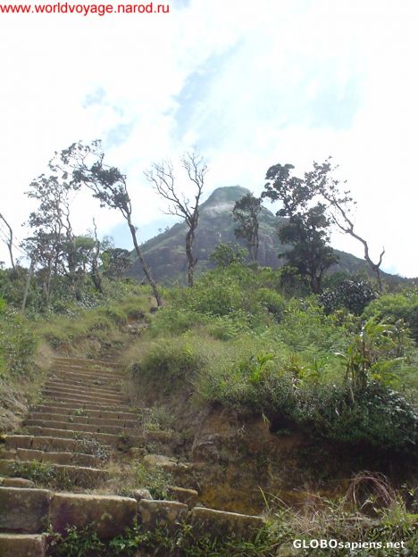 Postcard adam's peak ,sri lanka
