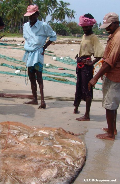 Todays Catch - Uppuveli Beach
