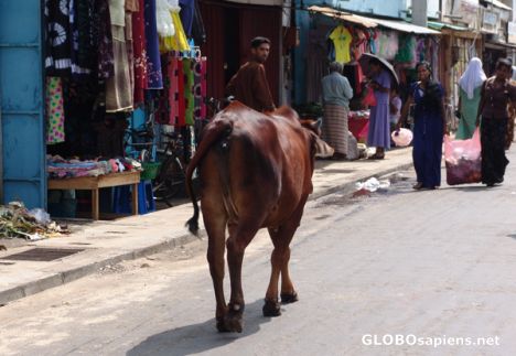 Postcard Main Street, Trincomalee 1