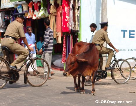 Postcard Main Street, Trincomalee 2