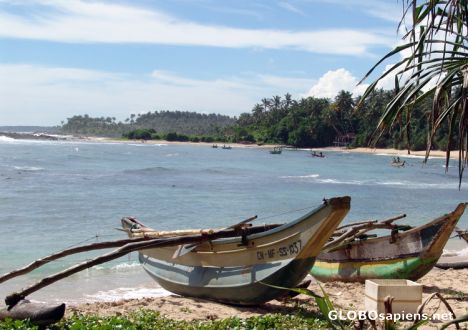 Dikwella Fishing boats