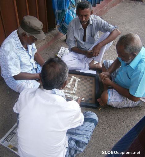 Postcard Playing domino