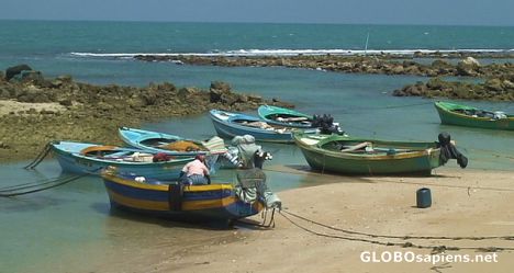 Postcard Fishing boats