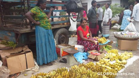 Postcard The queen of bananas