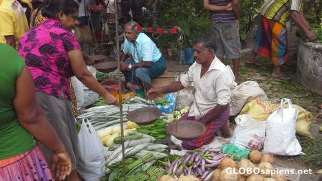 Postcard Morning market in Weligama