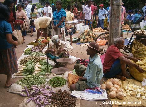Postcard Vegetable market