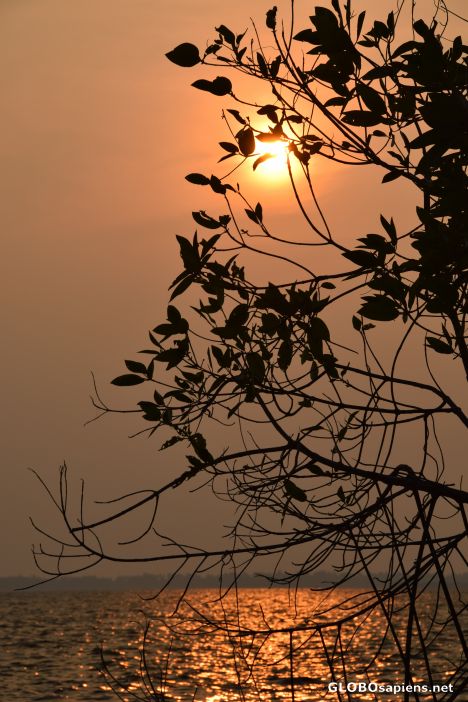 Evening on the Negombo Lagoon