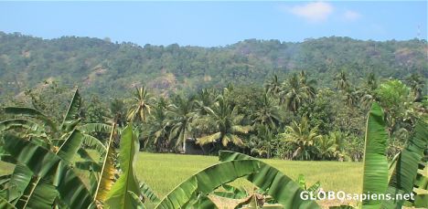 Postcard Sri Lanka countryside