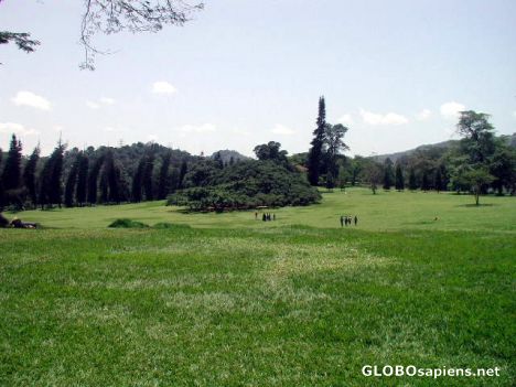 Postcard park in kandy