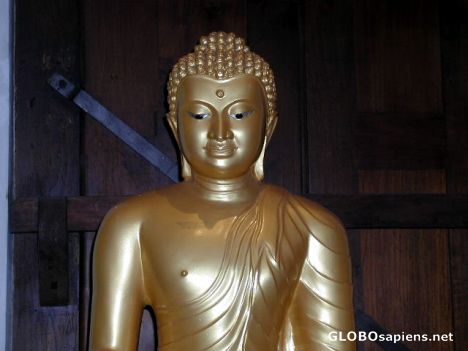 Postcard Buddha