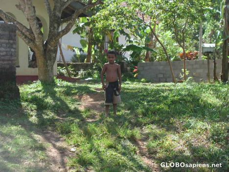 Postcard poor boy in a garden