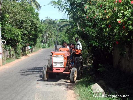Postcard farmerboys