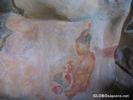 Postcard Fresco