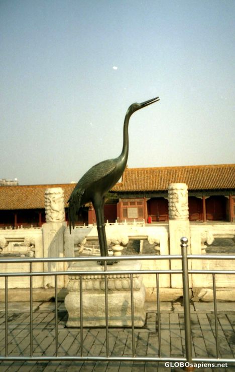 Postcard The Crane