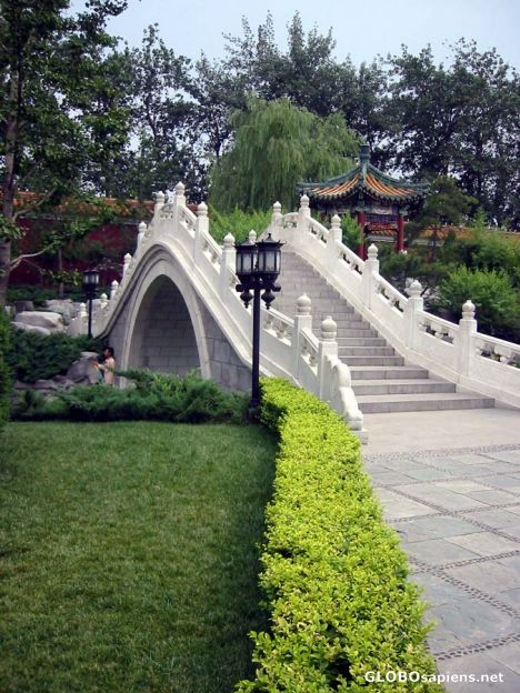 Postcard Park in the Summer