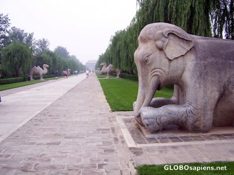 Postcard The Sacred Way of the Ming Tombs