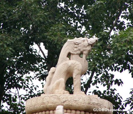 Postcard Dragon Details atop the Column, Spirit Way
