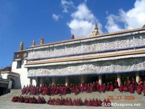Postcard Praying Monks