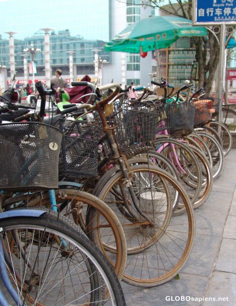 Postcard Bicycles