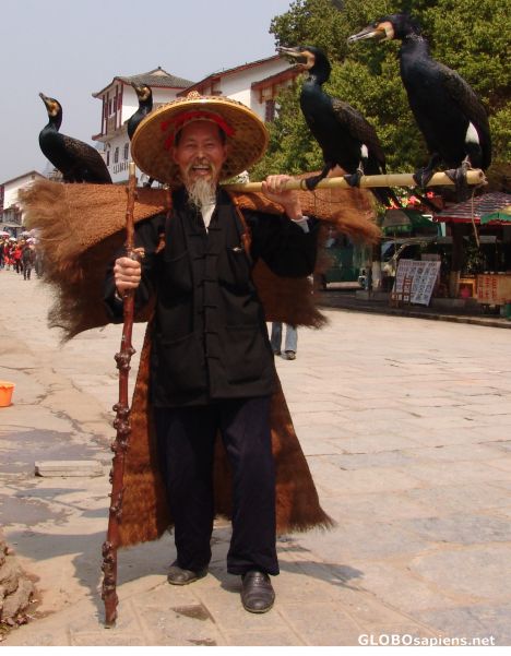 Postcard Cormorant Fisherman