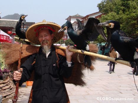 Postcard Cormorant Fisherman close up