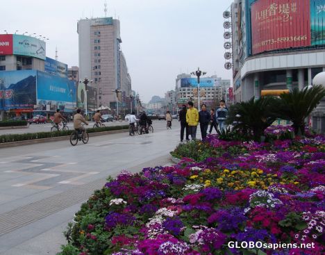 Postcard Guilin's Springtime bloom