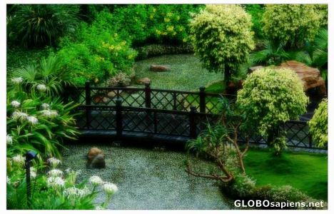 Postcard Resort Intime in rain
