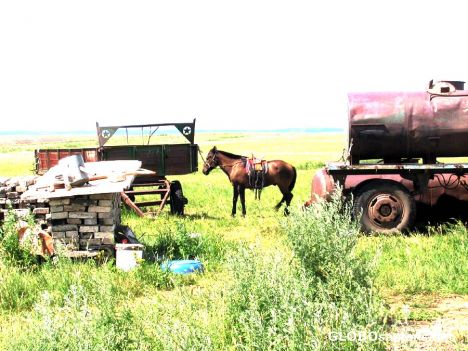 Postcard The Mongols