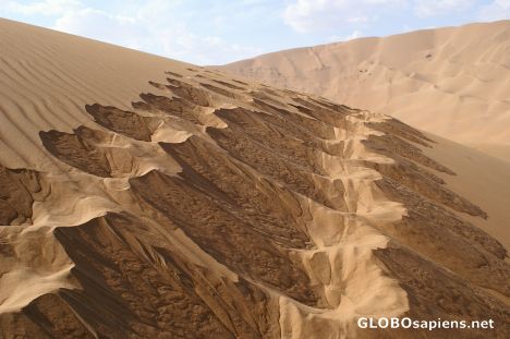 Postcard Camel track in the soft sand