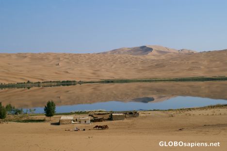 Postcard Glassy Lake Huhejaran