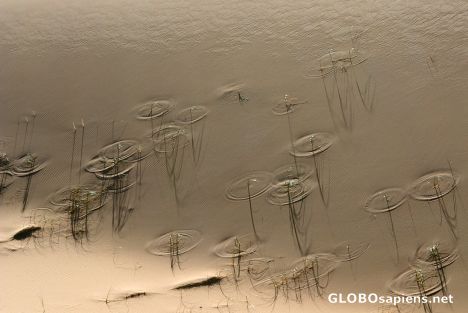 Postcard Raindrops falling on a water surface?