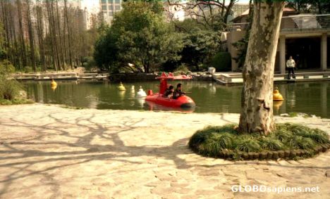 Postcard A park in Shanghia