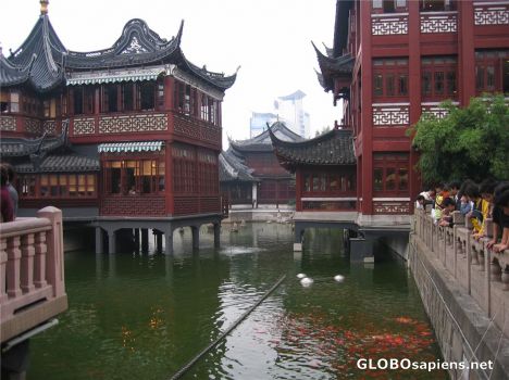 Postcard Yuyuan Garden