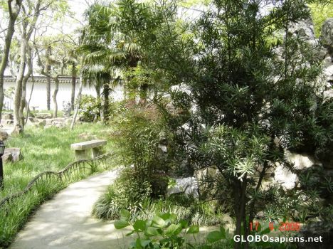 Postcard garden 3
