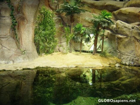 Postcard Aquarium 1