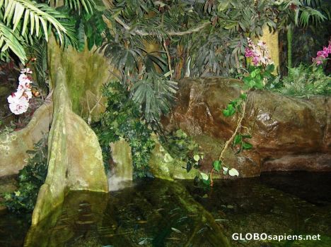 Postcard Aquarium 3