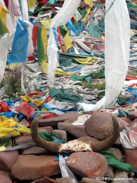 Postcard Prayer Flags and Skulls