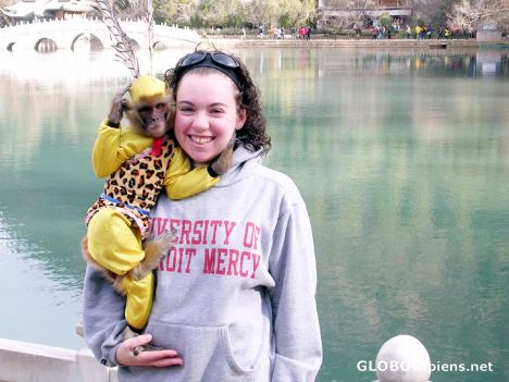 Postcard Monkey & V