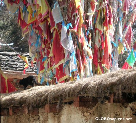 Postcard Prayer Flags in Zhongdian