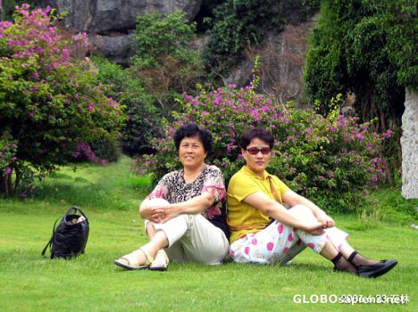 Postcard Stone forest