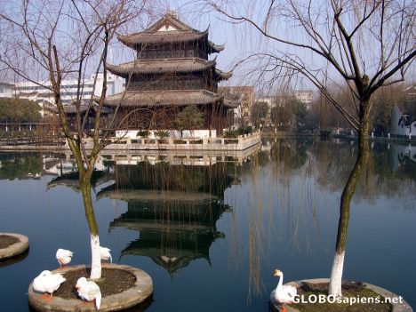 Postcard The Old Nanxun and odd ducks