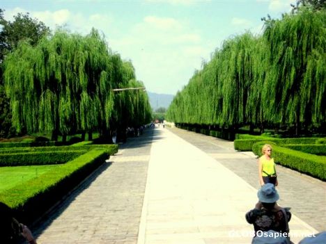 Postcard China