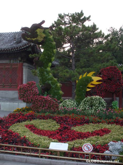 Postcard Garden at the Summer Palace
