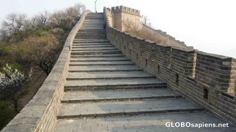 Postcard Great wall of China