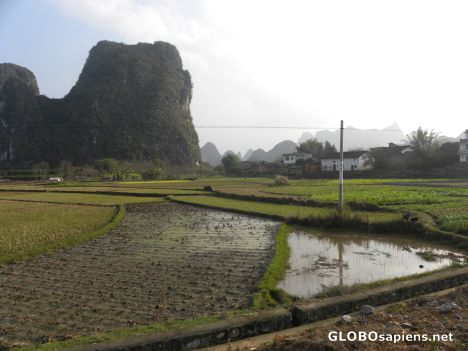 Postcard around Yangshuo 