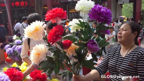 Peony Fetival in Luoyang
